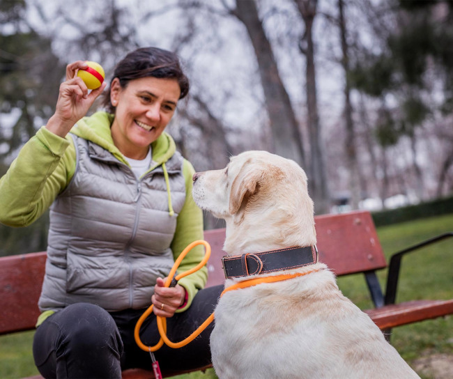 a woman is holding a ball to play with a dog