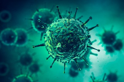 Visuals Infectious Disease Virus in infected organism
