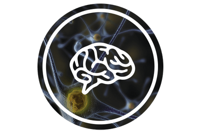 a brain icon