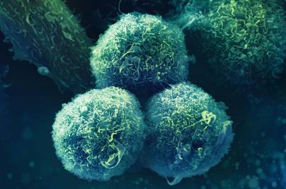 Three cells