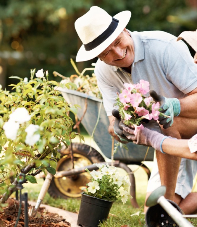 Image for Understanding melanoma: The signs, symptoms and risk factors